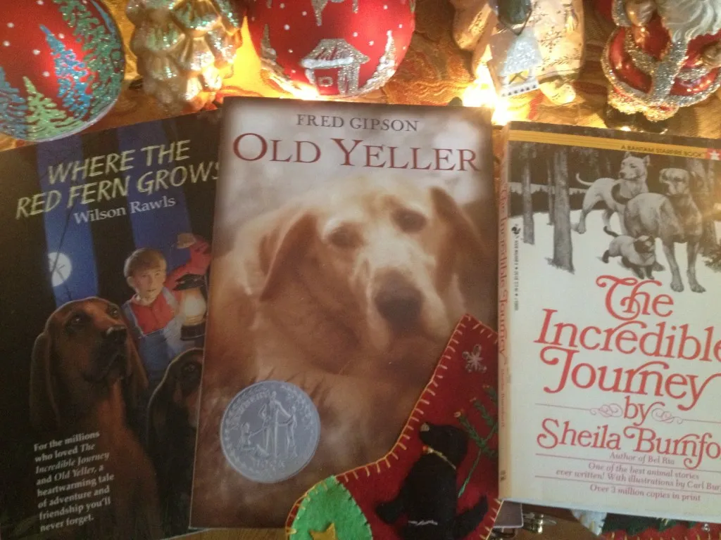 Stack of classic dog books, evoking true stories of loyalty and loss