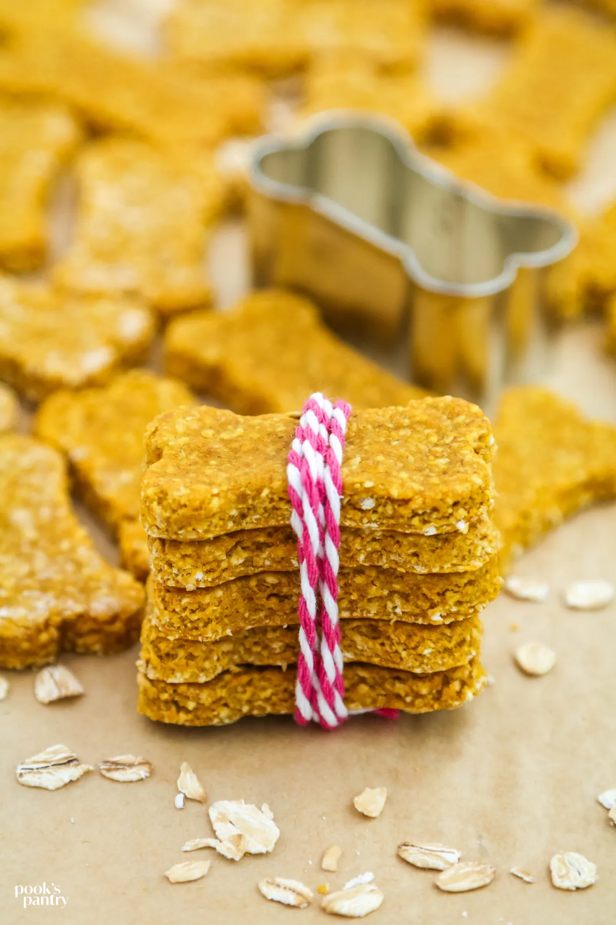 Stack of homemade healthy dog treats tied with twine, ideal for sensitive dogs