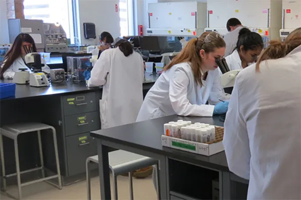 students at microscopes