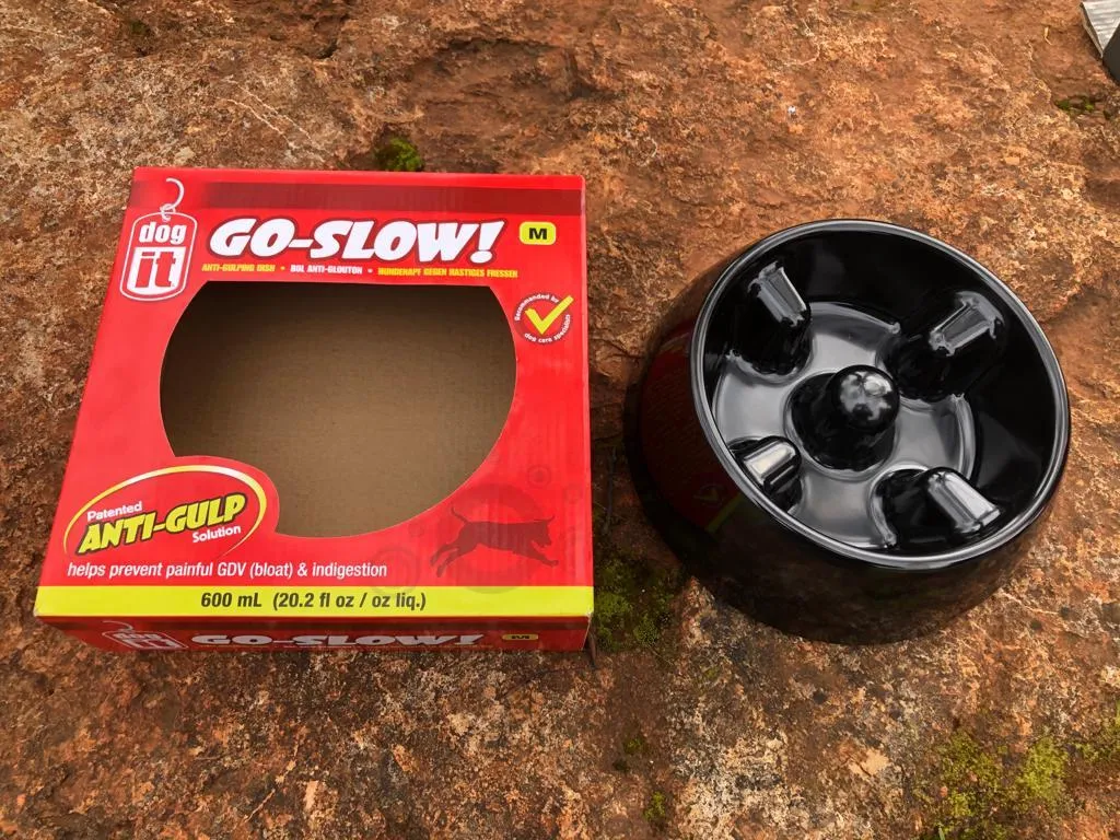 Sturdy black Dogit Go-Slow anti-gulp dog bowl with simple raised partitions