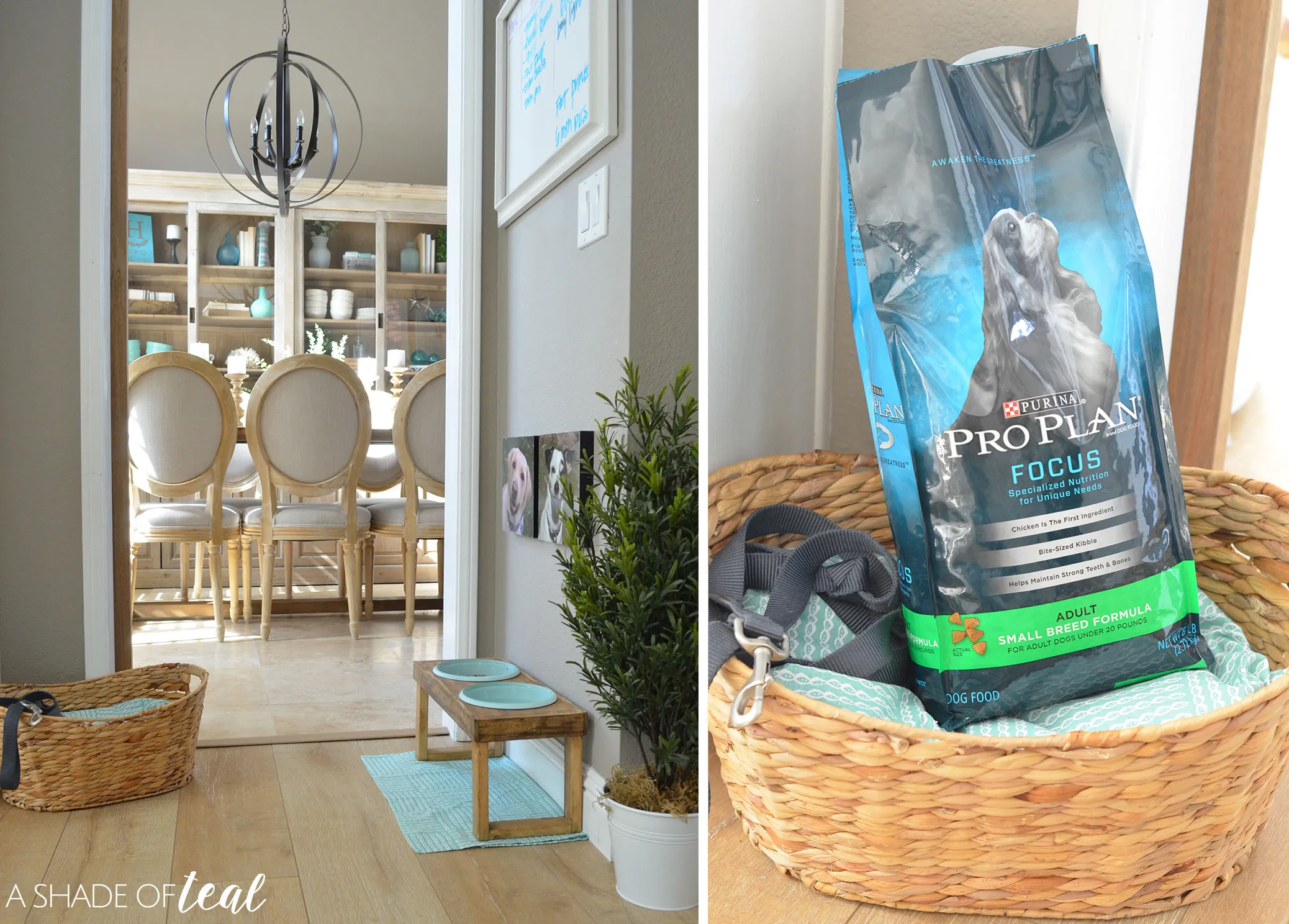 Stylish custom-made raised dog feeder perfectly placed in a modern kitchen, blending with home decor