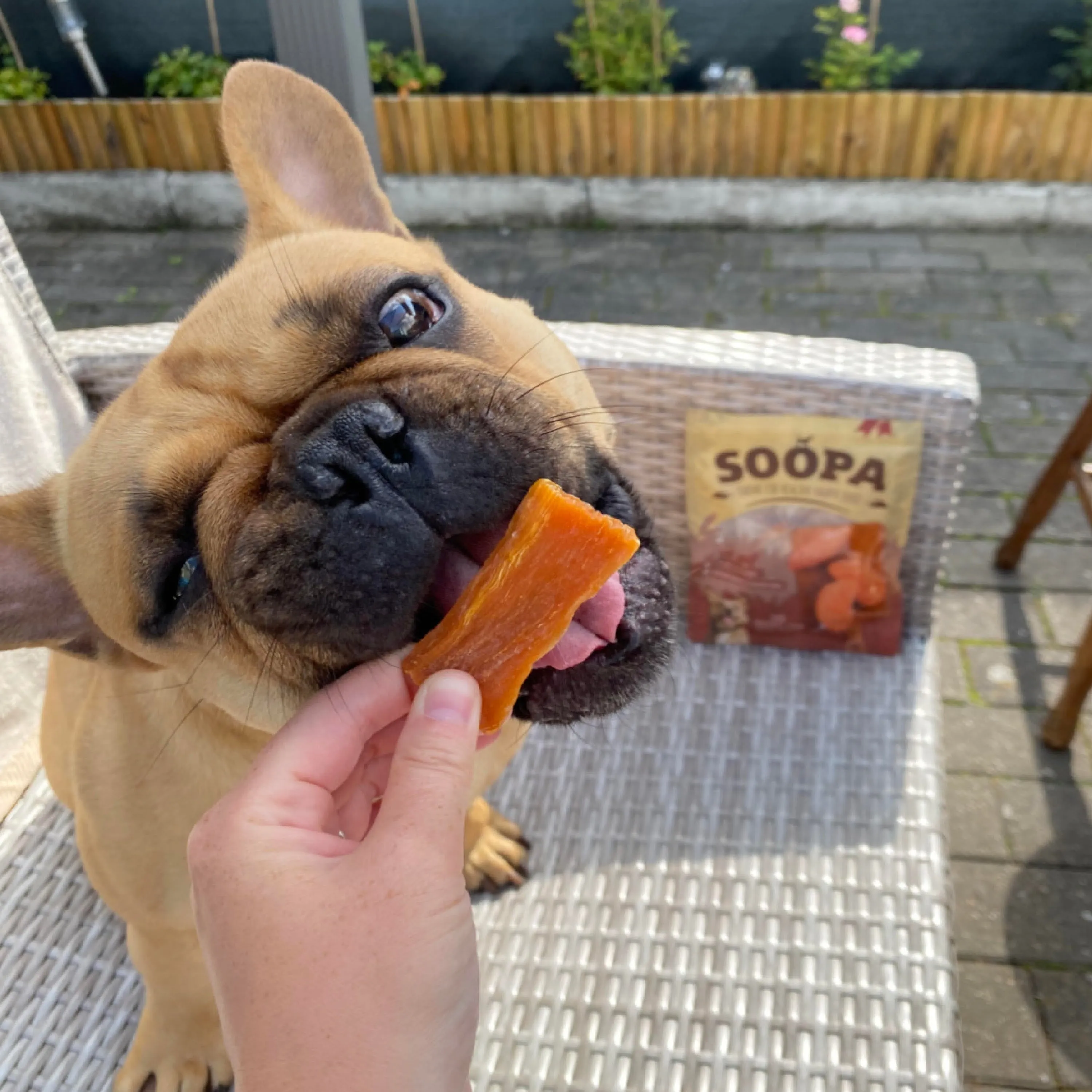 Sweet potato dog treats