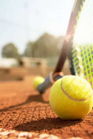 Tennis ball, racquet, and net on a court