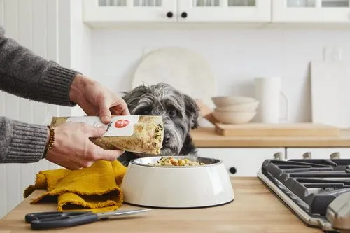 The Farmer’s Dog Food Packaging