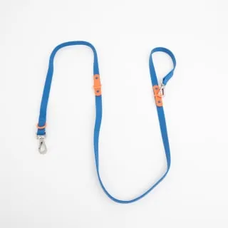 The Fritz Leash