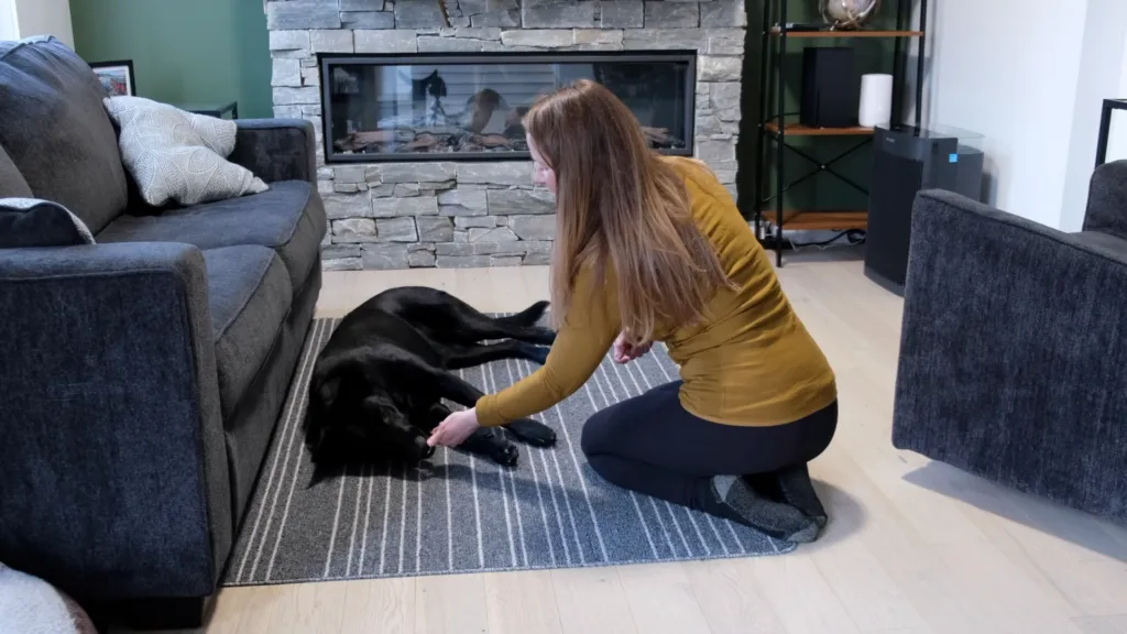 The hand motion has become smaller, indicating the phasing out of the physical lure for the 'play dead' trick.
