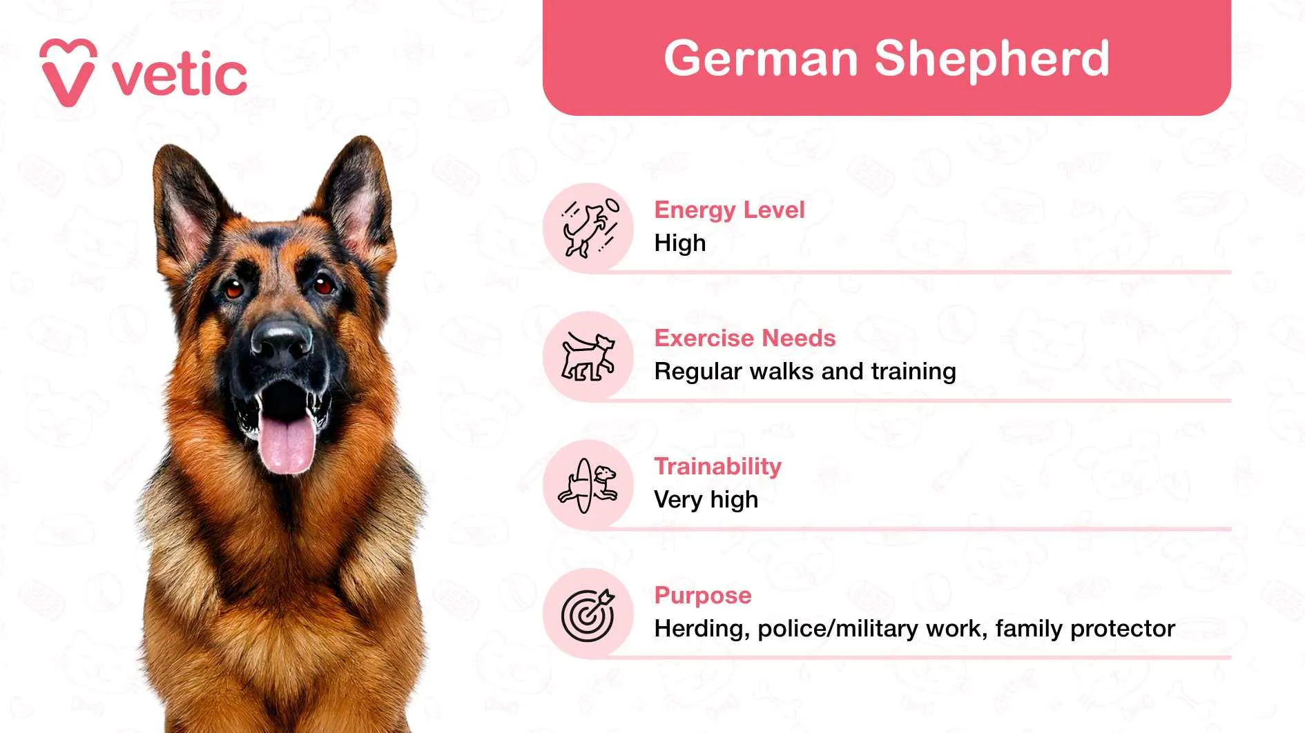 The image features a German Shepherd, celebrated as a family and kid-friendly dog breed in India due to its intelligence, loyalty, and protective instincts. This breed is depicted with an attentive posture, showcasing its alert and dependable nature—qualities that make it a great choice for families with children. The background contains a subtle pattern of pet-themed icons, lending a playful and relatable tone to the design. In the top left corner, the