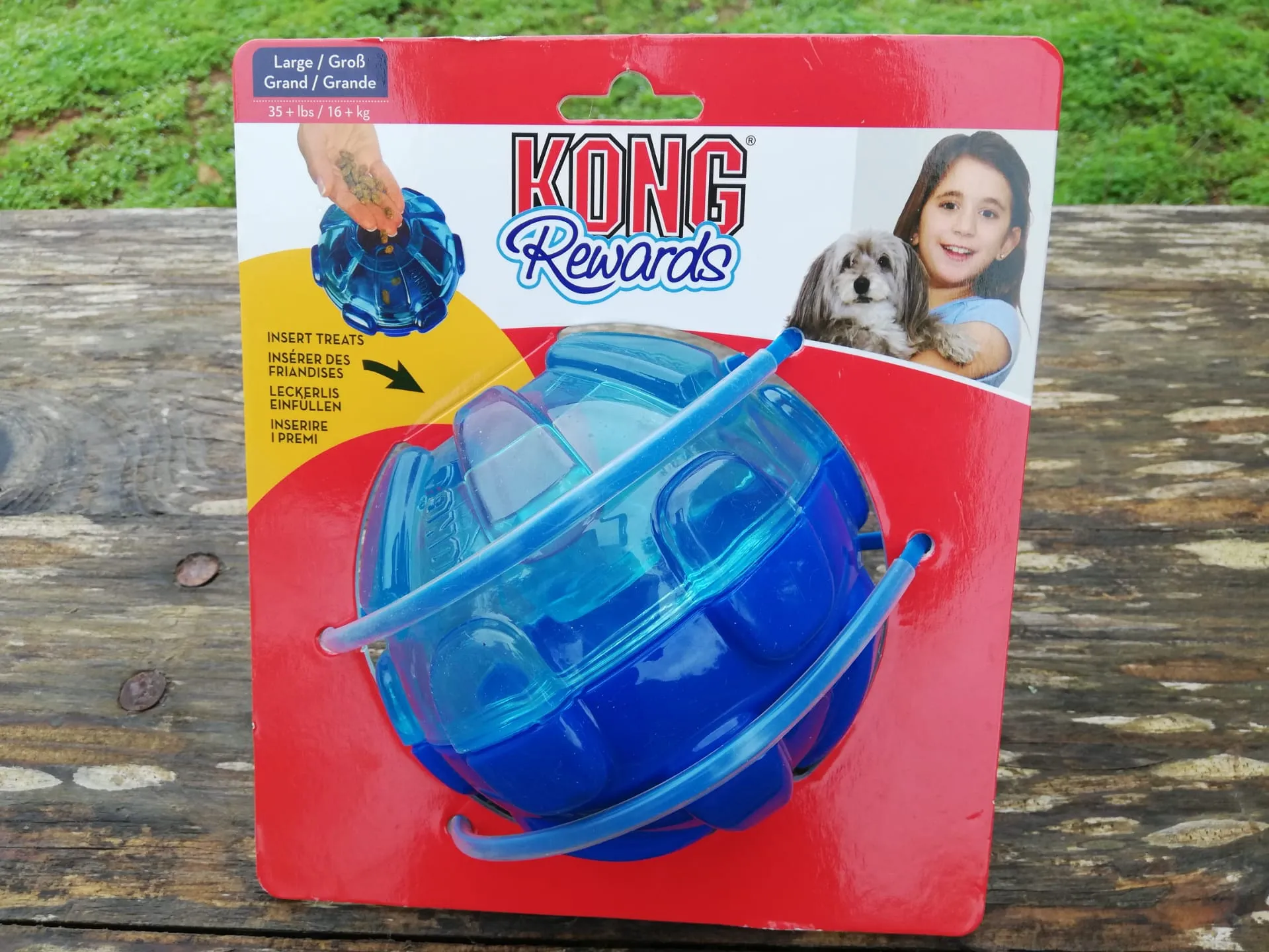 The Kong Rewards Ball.