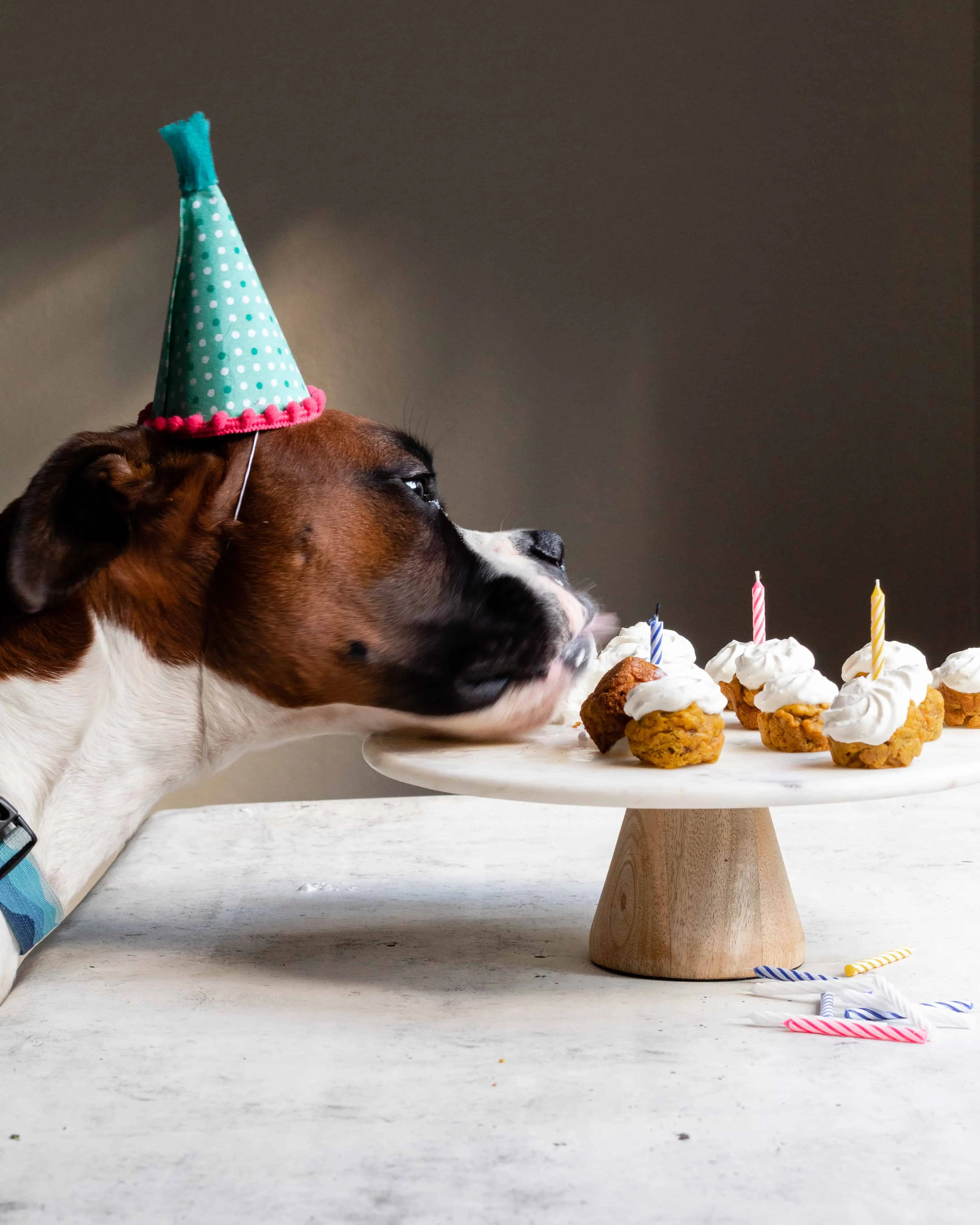 Theo's first birthday pupcake