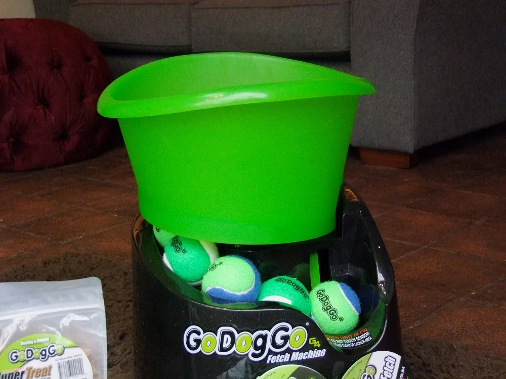 Three Rottweilers, Danny, Mia, and Christopher, excitedly gathered around the GoDogGo G4 automatic ball launcher outdoors