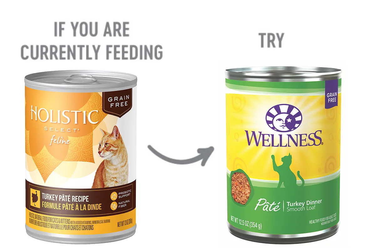Turkey Pate Dog Food Recommendation