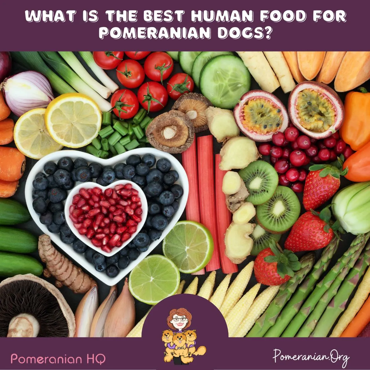 Two cute Pomeranians looking eagerly at a selection of human foods, highlighting the decision-making process for safe dog snacks.