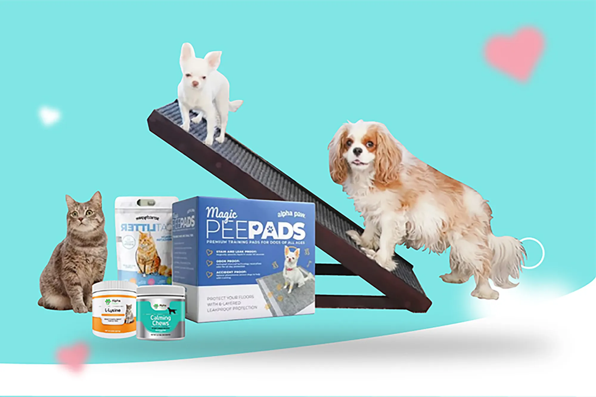 Two dogs on a seesaw and a cat on the side with pet supplies in the middle of a blue and white background with a pink heart