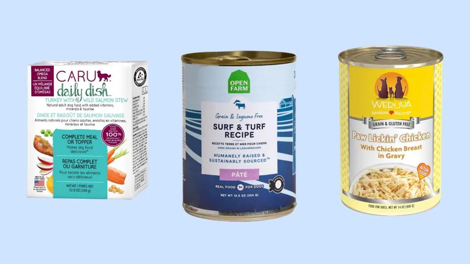 Variety of best wet dog foods for small breeds