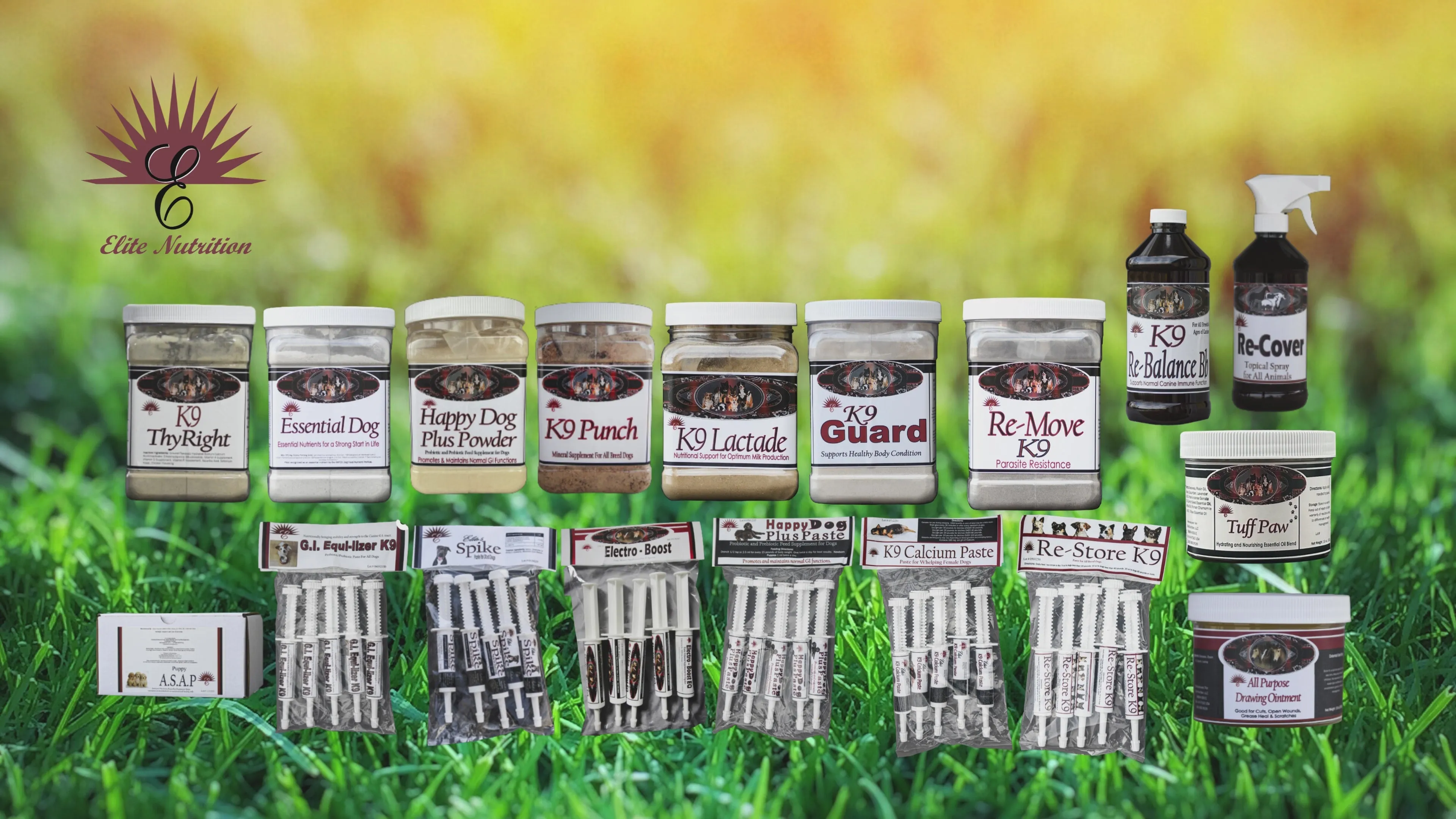 Variety of high-performance dog nutrition and supplement products