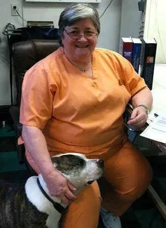 Veterinarians at Animal Hospital of Webster