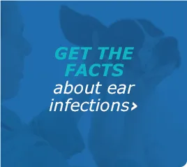 Virbac Epiotic Advanced Ear Cleanser box, highlighting its benefits for dog and cat ear infection prevention.