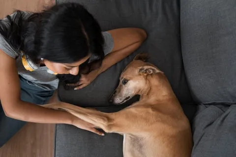 Woman petting a cute dog