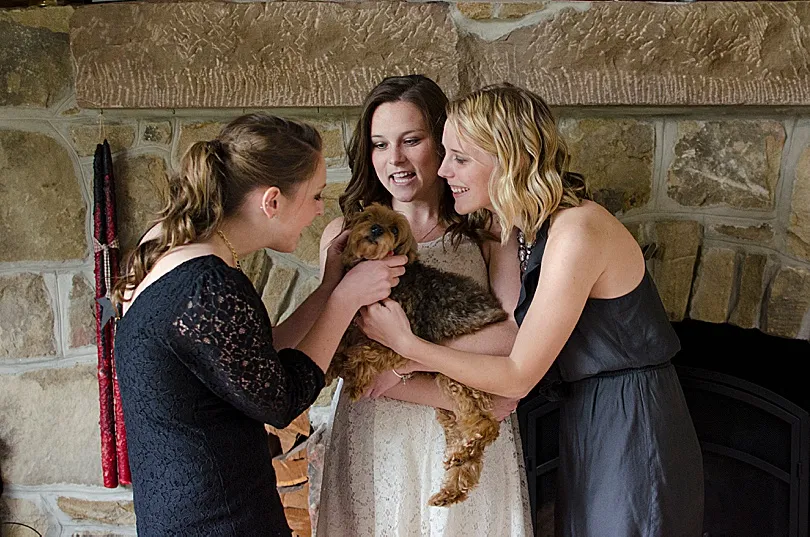 Yorkiepoo, Sophie, lovingly held by a family member, surrounded by the warmth of family bonds.