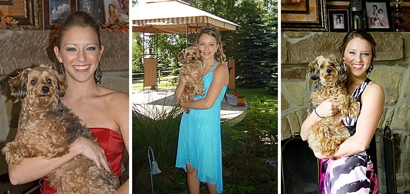 Yorkiepoo, Sophie, with a person in formal wear, embodying a cherished family pet during special occasions.