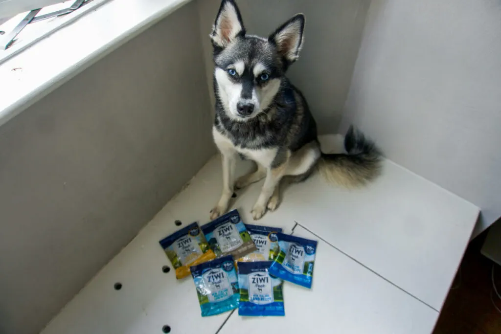 Ziwi Peak dog food detail