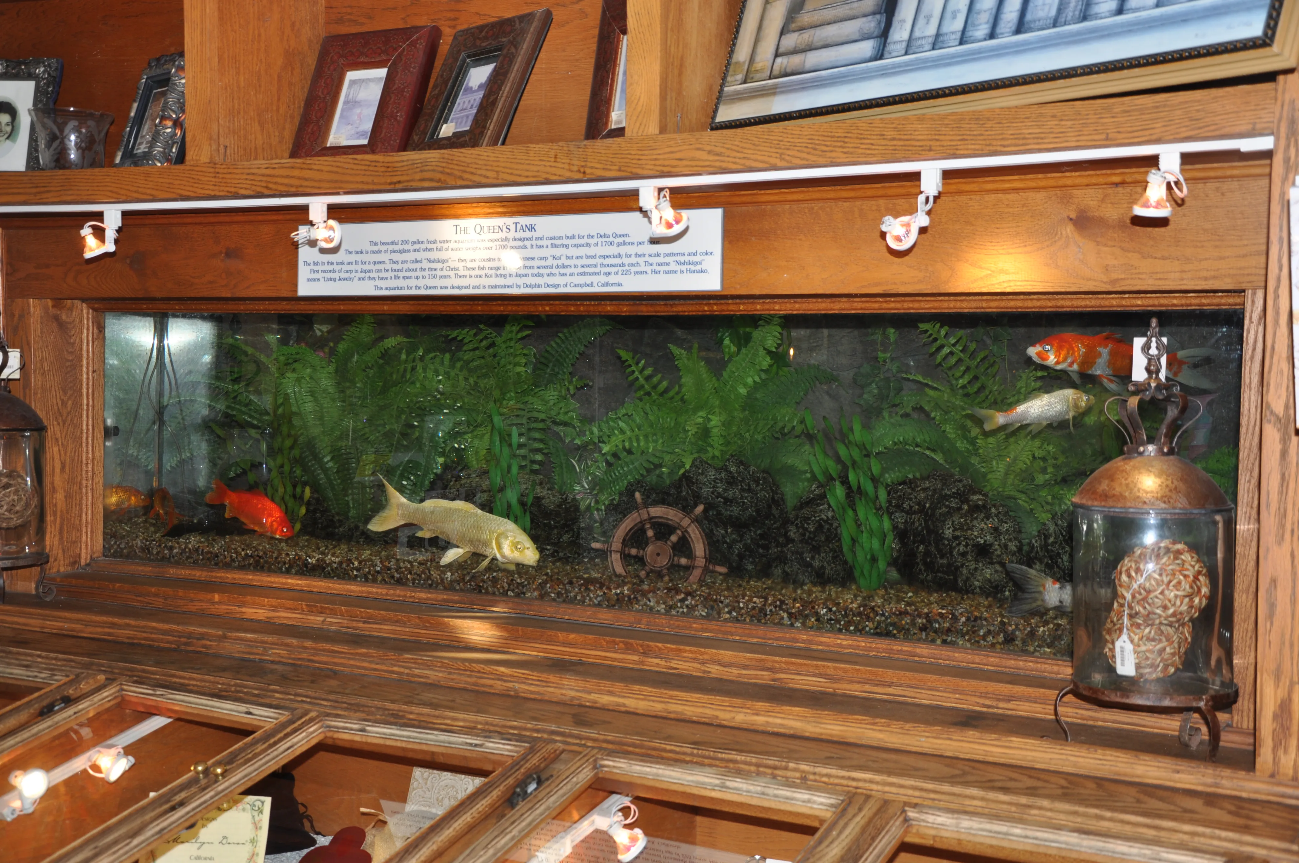 1700 gallon fish tank