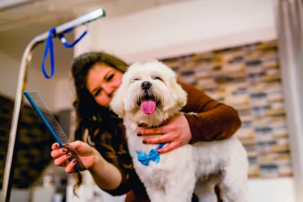 9 Top Pet Grooming Tools Recommended by Professionals