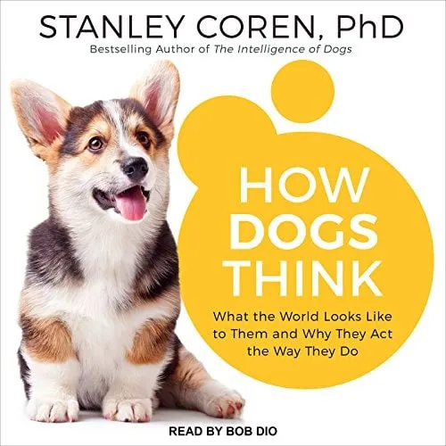 A book cover titled 'How Dogs Think' featuring a thoughtful-looking dog.