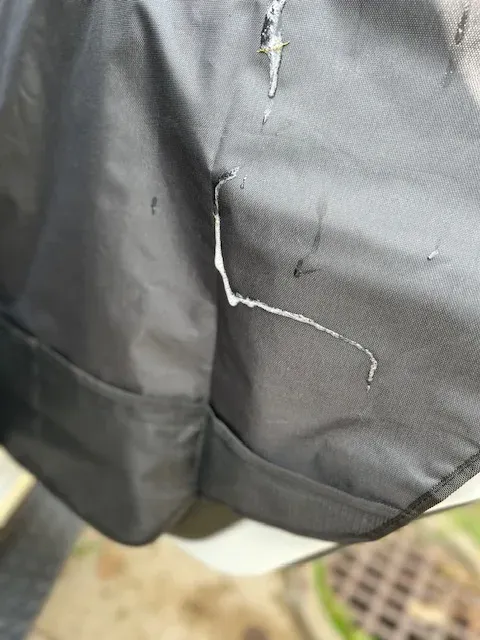 A car door protector installed in a vehicle, demonstrating its role in safeguarding the car's interior from dog damage.
