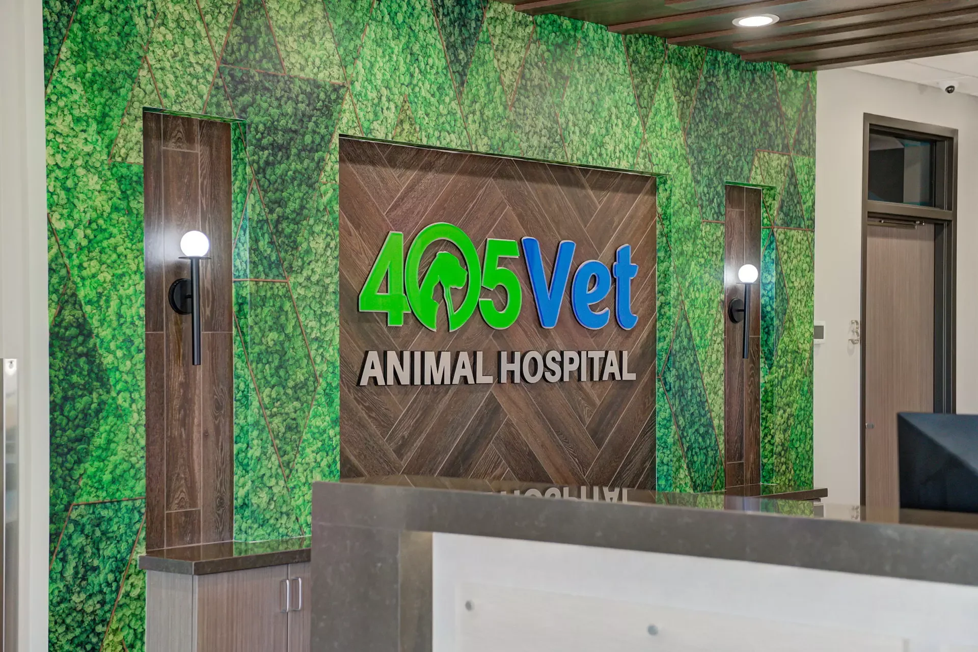 A clean and comfortable pet boarding area