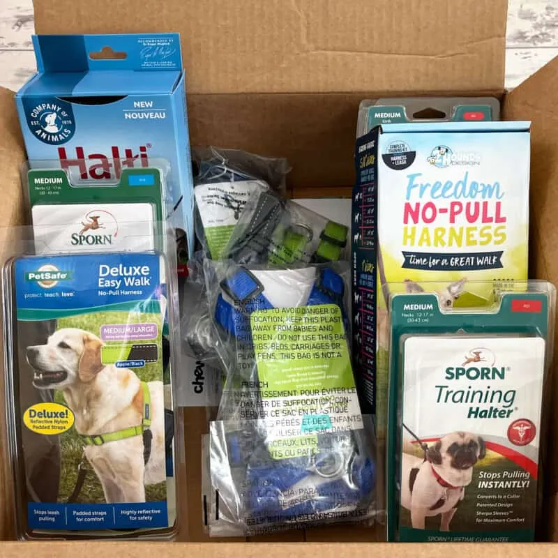 A collection of various no-pull dog harnesses, neatly arranged inside an open cardboard box.