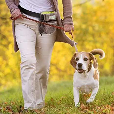 A compact black Paw Lifestyles Treat Pouch, perfect for dog training with easy access to treats and a poop bag dispenser.