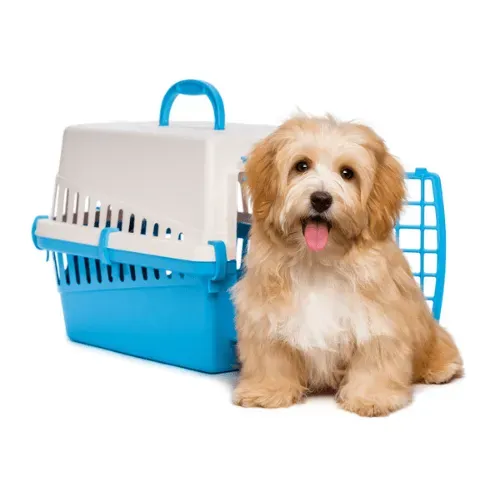 A crate creates a welcoming and safe environment for your puppy