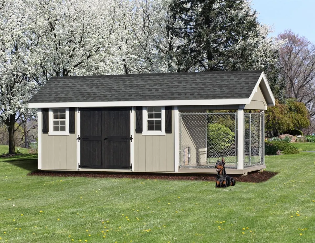 A dog cautiously approaching a kennel with a treat nearby