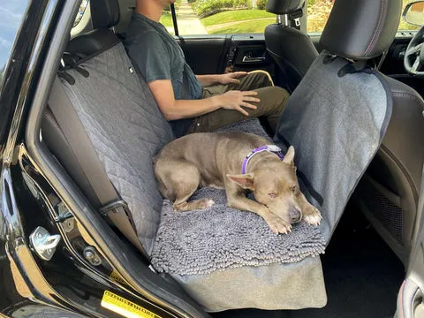 A dog enjoying a car ride in a seat cover hammock