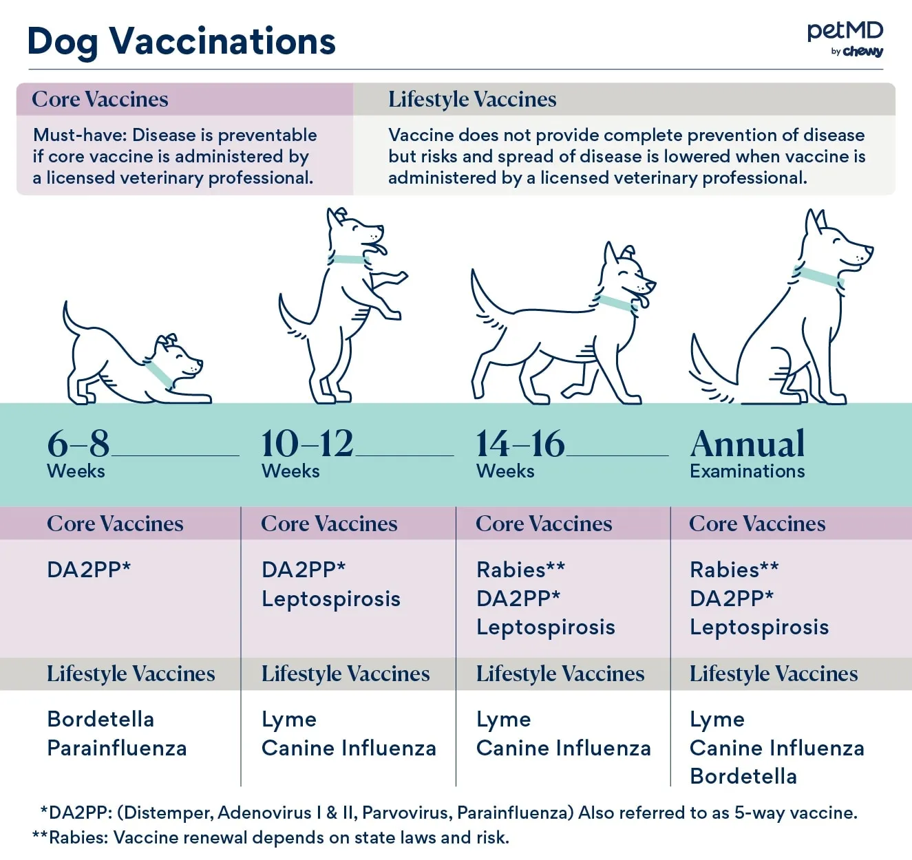 A dog getting vaccinated by a veterinarian.
