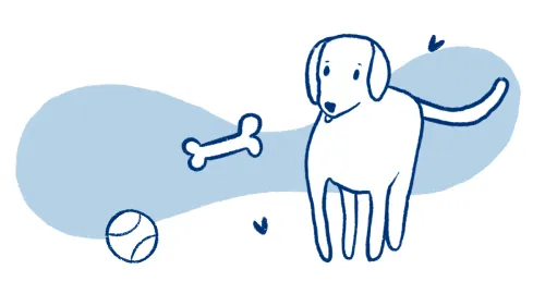 A dog looking attentively, symbolizing the commitment involved in pet ownership.