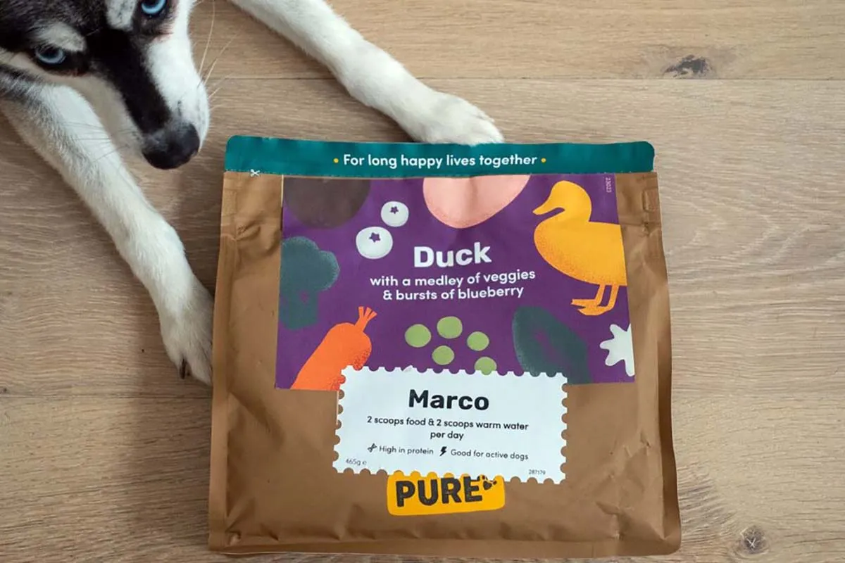 A dog posing with Purepet dog food packaging, highlighting the product.