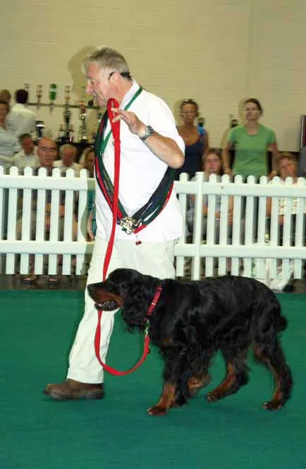 A dog trainer at an event demonstrating effective heeling techniques with a dog that was previously pulling on the lead.