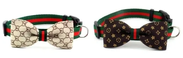 A dog wearing a stylish bow tie collar and matching leash, ready for a walk.