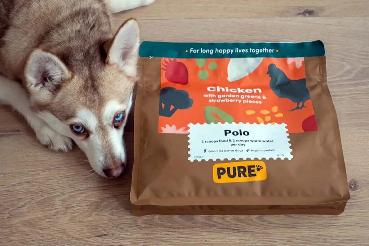 A dog with Purepet dog food, indicating the premium nature of the product