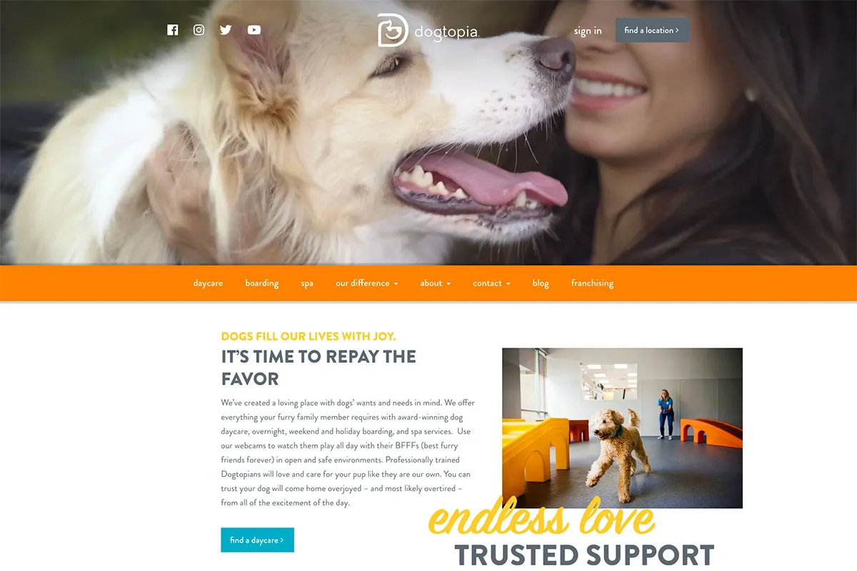 A group of dogs happily playing in Dogtopia's daycare facility, with social media icons visible