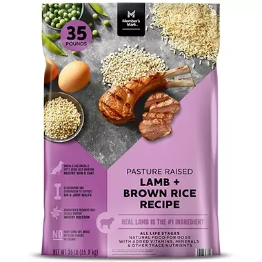 A happy dog eating Member's Mark dog food from a bowl, looking healthy and energetic