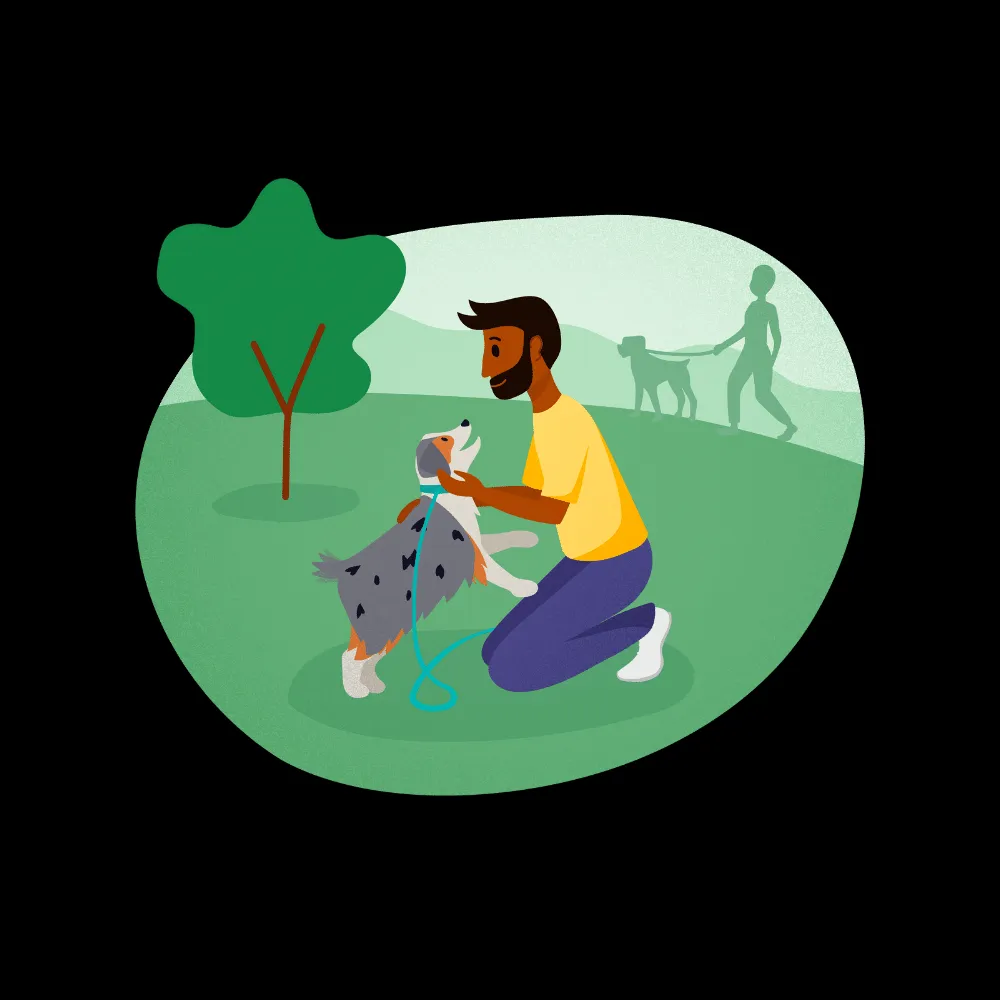 A happy dog playfully running through a grassy park with an owner, highlighting the joy of dog walking.