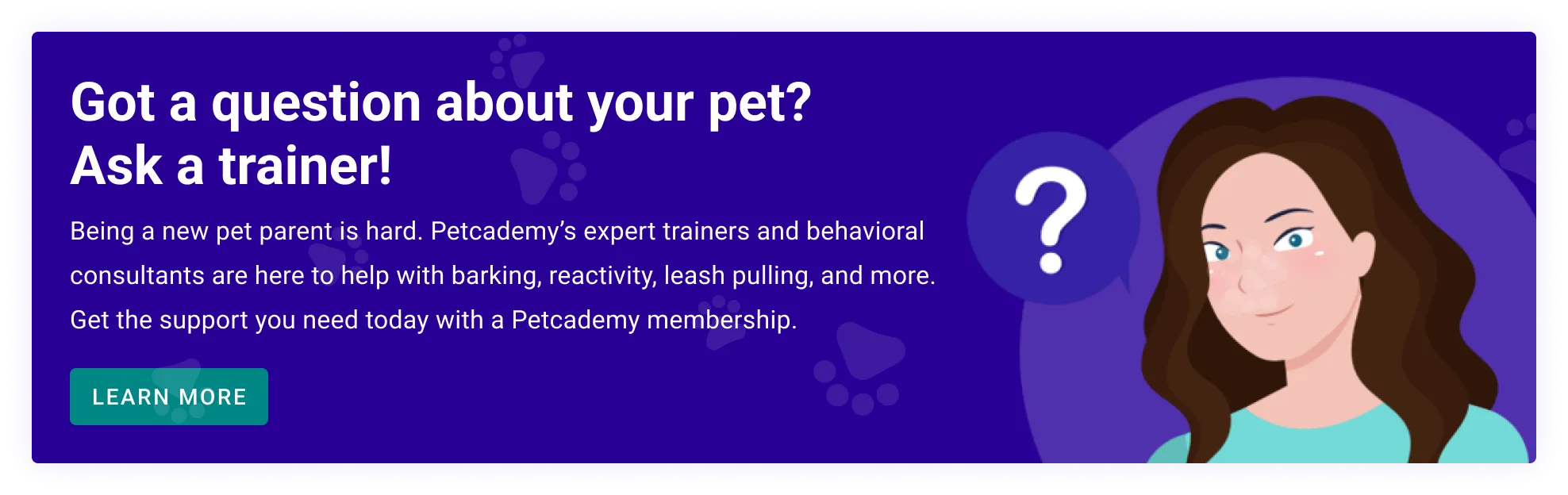 A happy dog sitting patiently with a leash, suggesting good training and responsible pet ownership