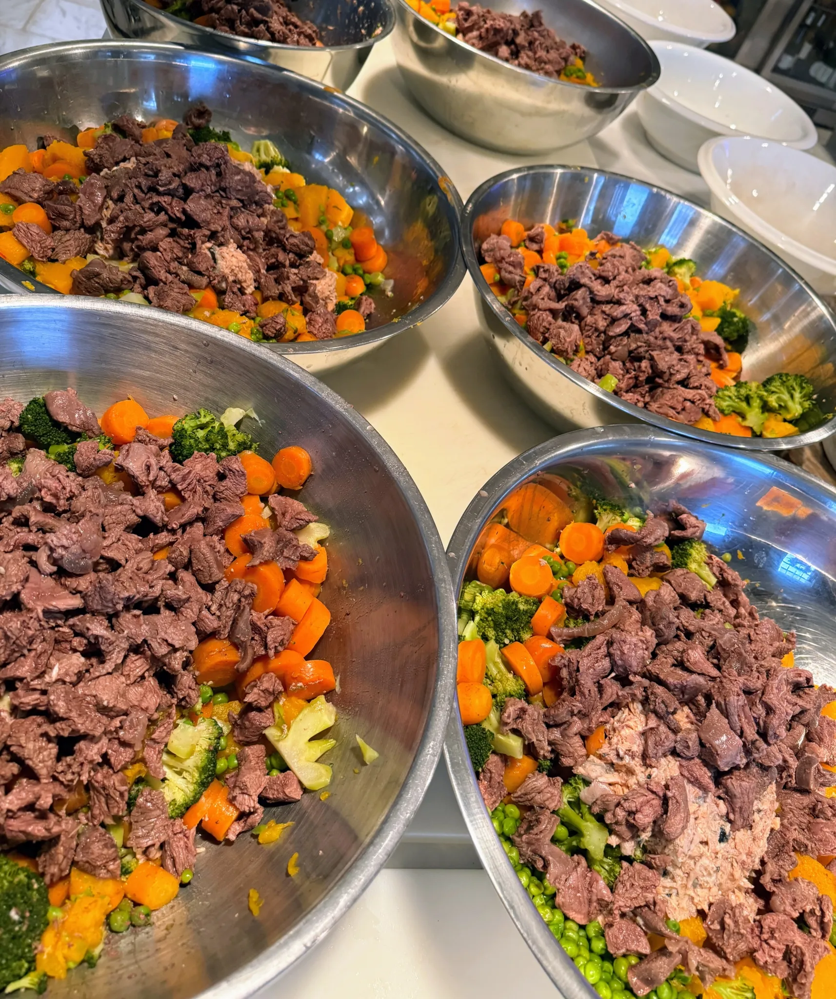 A large amount of dog food prepared with various ingredients