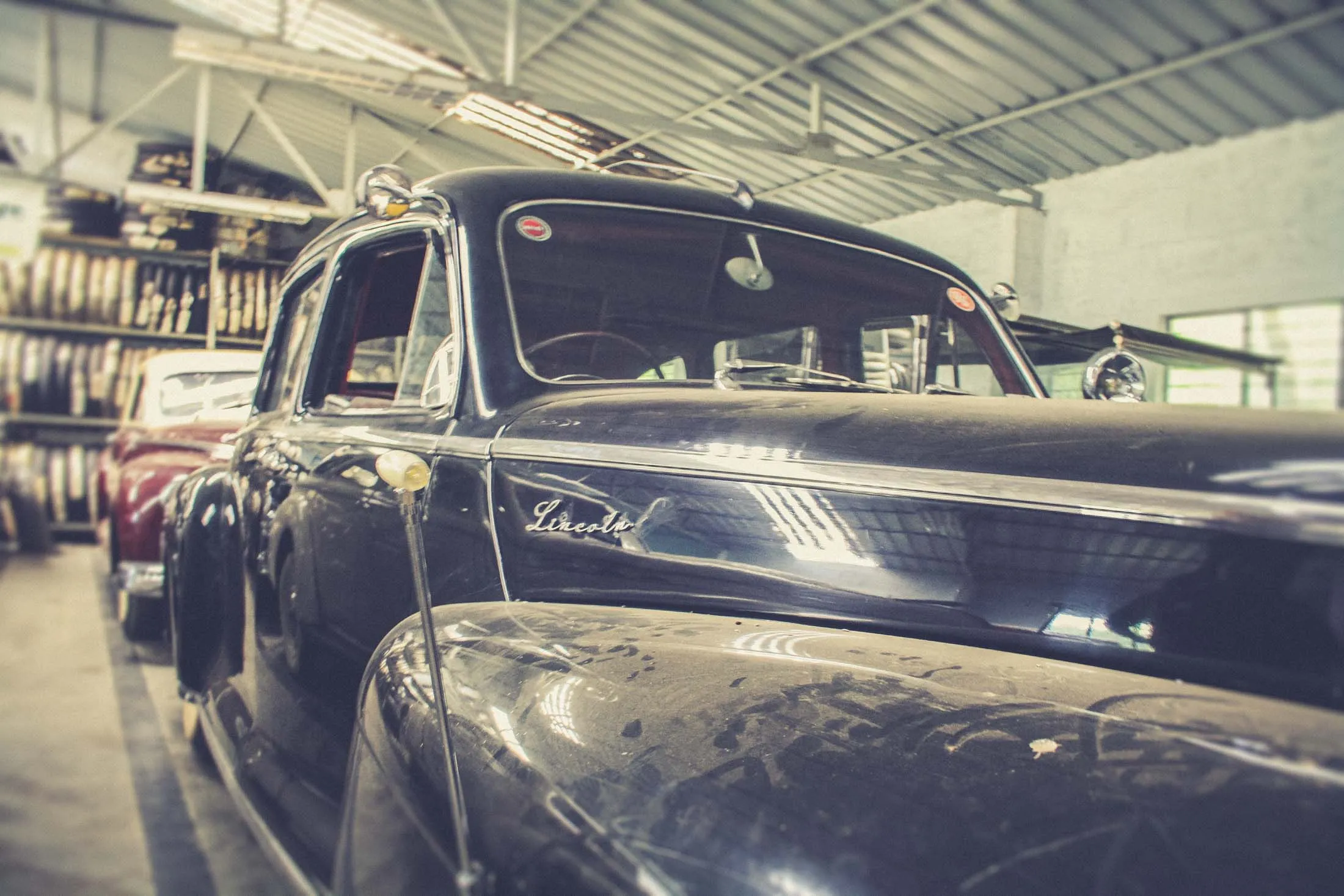 A lineup of exquisite classic cars gleaming under the sun, showcasing the diversity of a collector's passion