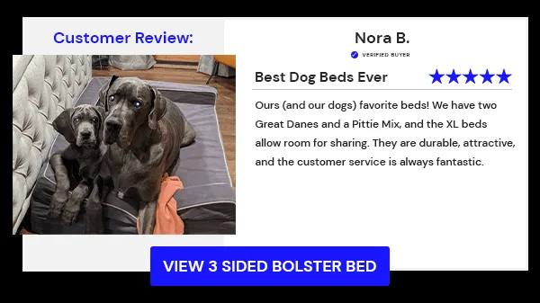 A majestic Great Dane relaxing comfortably on a Bully Bed, highlighting customer satisfaction with orthopedic support.