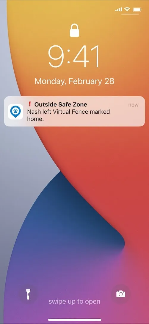 A mobile phone notification displays "Your dog has just left a Safe Zone!", with details about the dog's name and location.