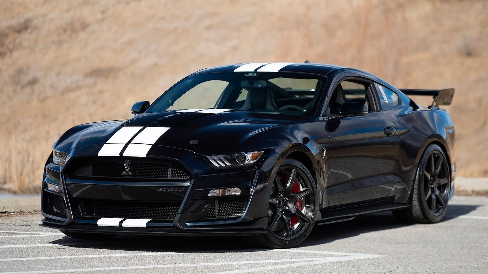A parked 2021 Ford Shelby GT500